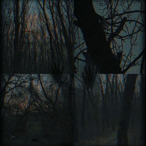 LiL Luy - Unformed 0Pinion