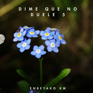 Dime que No Duele 5 by Enbeyako Km