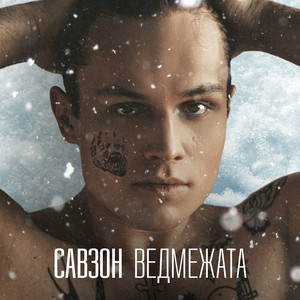 Ведмежата