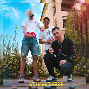 YNY Sebi - Sute de Grade (feat. Fredy & Sanglide)
