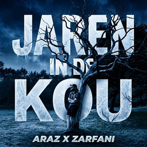 Jaren In De Kou by Araz, Zarfani