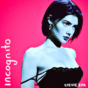 Incognito by Stevie Zita