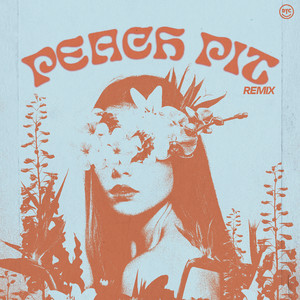 Peach Pit, Pt. 2 by Dance Yourself Clean, Back Talk