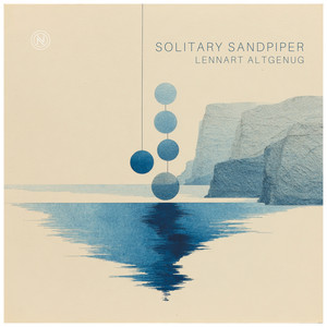 Solitary Sandpiper by Lennart Altgenug