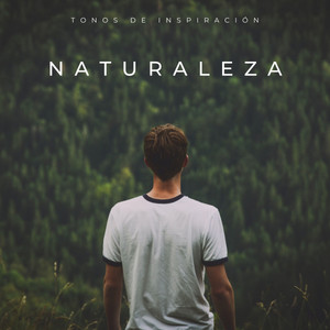 Naturaleza: Tonos De Inspiración album