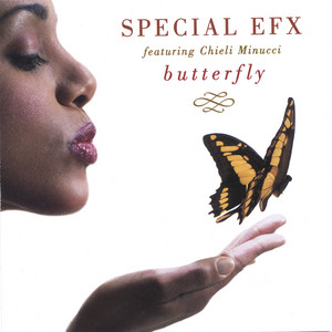 Butterfly cover