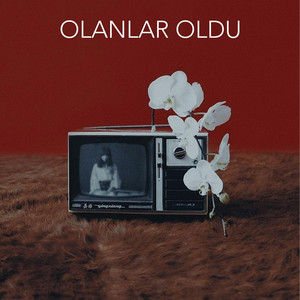 Olanlar Oldu