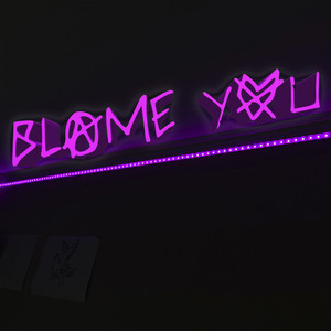 Blame You