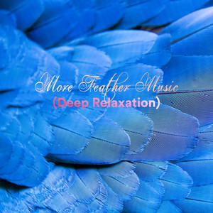 More Feather Music (Deep Relaxation) album