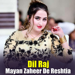 Dil Raj - Zama Disposible Janana