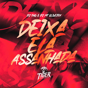 DJ THG, DJ MT OLIVEIRA & MC Garoto - Deixa ela assanhada x Sorrisinho de puto (feat. Nilo)