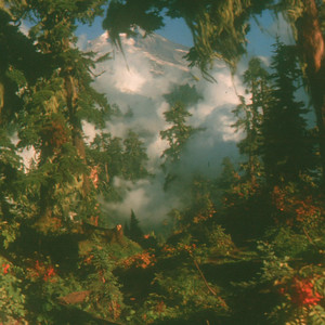 Flax by SUBSONIC FLOW