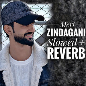 Fedii Qureshi - Meri Zindagani (Slowed + Reverb)