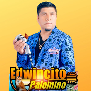 Edwincito Palomino - Huarma Vida