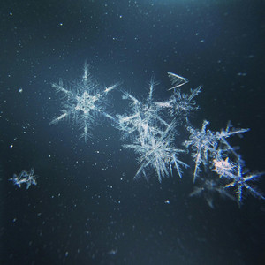 L'Appel du Froid