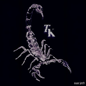 TK - Radio Edit by sant jord