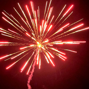 ch0s3n1 - WATCH EM FLOCK