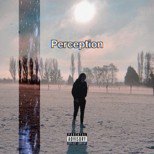 Perception cover