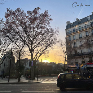 Cri du coeur by Acco, muscato