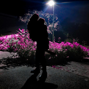 Perception by FADED