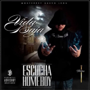 Escucha homeboy by Vida Baja