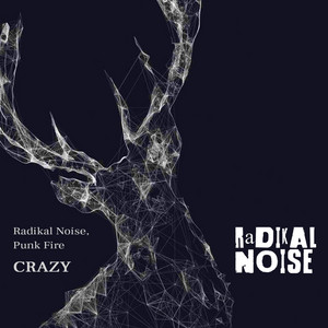 Crazy - Original Mix by Radikal Noise, Punk Fire