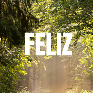 FELIZ by LOKASO