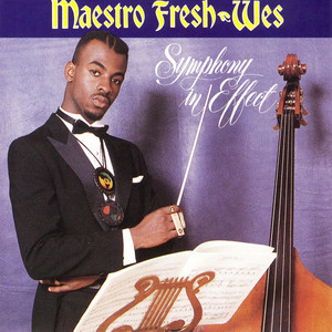 洋楽 Maestro Fresh-Wes Fine Tune Da Mic Maestro Fresh Wes / Fine Tune Da Mic | VINYL7 RECORDS