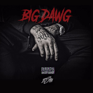 Big Dawg - song and lyrics by Waka Flocka Flame | Spotify
