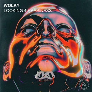 Looking 4 Happiness - Radio Edit by Wolky