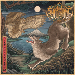 Death of a Shadow by Vile Sycophant