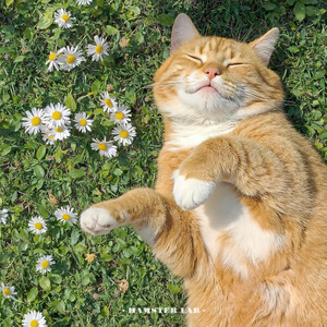 這一生愛上什麼人都不為過 All Love Is Justified by HAMSTER LAB