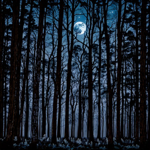 Matias Cancio - Moonlit Woods
