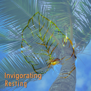 # 1 Album: Invigorating Resting album