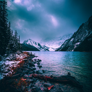 ALEX DAV - Here Forever