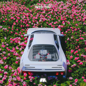 Salad Queen - Into You