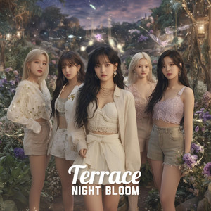 피어라 Night Bloom by Terrace