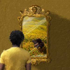Reflection - Acoustic by Nello MXL