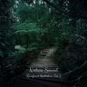 Nature Sound: Rainforest Meditation Vol. 2 album