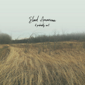 Worth by Bleed American