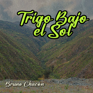 Trigo Bajo el Sol by Bruno Chacòn