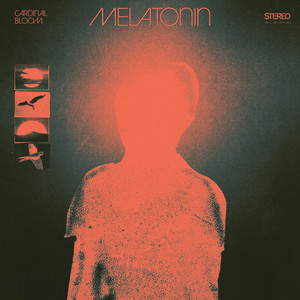 melatonin by Cardinal Bloom