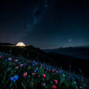 a night to remember by The Camp