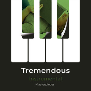 zZz Tremendous Instrumental Masterpieces zZz album