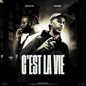 C'EST LA VIE by Mobii, Anu-D