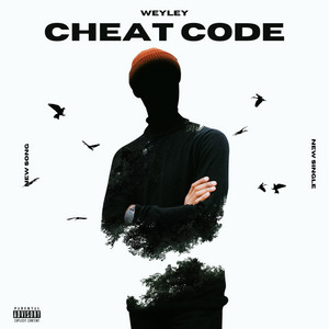 Cheat C0d3