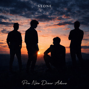 Pra Nao Dizer Adeus by Stone
