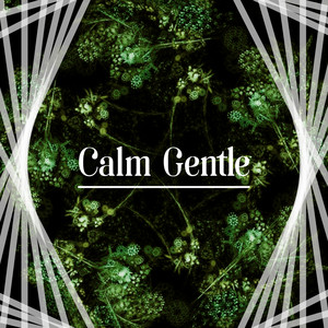 Calm Gentle - Time to Little Nap, Nice Pillow, Warm Blancet album