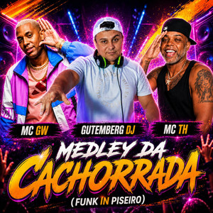MEDLEY DA CACHORRADA: FUNK IN PISEIRO