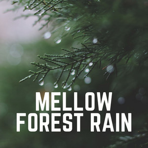 Mellow Forest Rain album